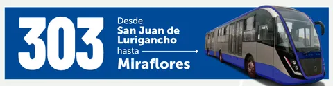 Banner del servicio 303